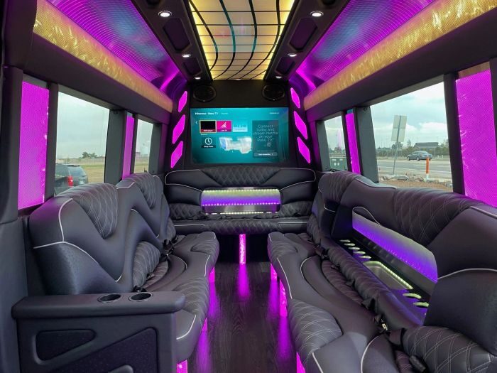 Sprinter limo lounge with TV – Arvada limo service