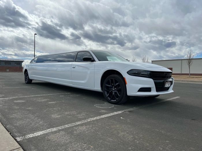 White stretch limo – Arvada limo service